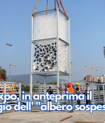 Futura Expo, in anteprima il montaggio di Forlife, l’ “albero sospeso”