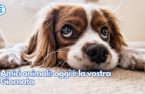 Amici animali: oggi è la vostra Giornata