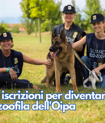 Aperte le iscrizioni per diventare guardia zoofila dell’Oipa