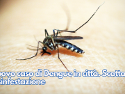 Nuovo caso di Dengue in città. Scatta la disinfestazione