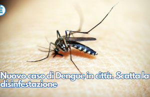 Nuovo caso di Dengue in città. Scatta la disinfestazione