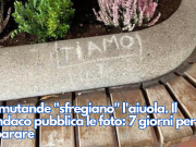 In mutande “sfregiano” l’aiuola. Il Sindaco pubblica le foto: 7 giorni per riparare