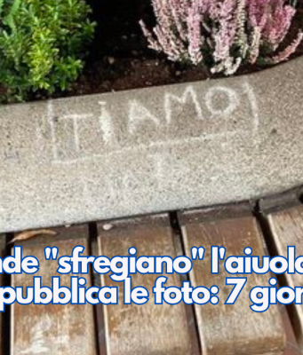 In mutande “sfregiano” l’aiuola. Il Sindaco pubblica le foto: 7 giorni per riparare
