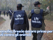 Zoomafia, Brescia ancora prima per reati contro gli animali