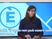Bianchi, “il verde non può essere solo decoro ma…”