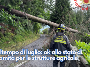 Maltempo di luglio: ok allo stato di calamità per le strutture agricole