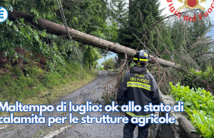 Maltempo di luglio: ok allo stato di calamità per le strutture agricole