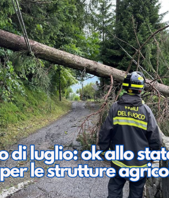 Maltempo di luglio: ok allo stato di calamità per le strutture agricole