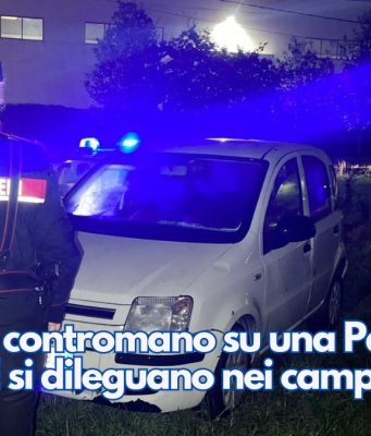 Fuggono contromano su una Panda rubata. E…
