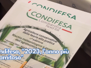 Condifesa, “2023, l’anno più calamitoso”