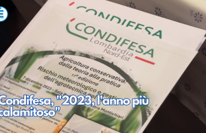 Condifesa, “2023, l’anno più calamitoso”