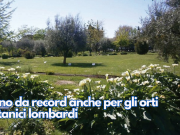 Anno da record anche per gli orti botanici lombardi