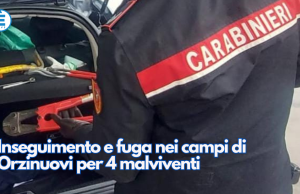 Inseguimento e fuga nei campi di Orzinuovi per 4 malviventi