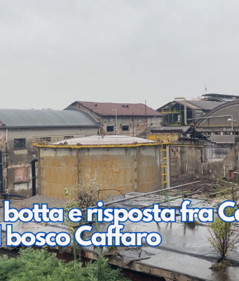 Polemica botta e risposta fra Castelletti e Rolfi sul bosco Caffaro