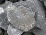 Cina: scoperta di fossili nello Yunnan