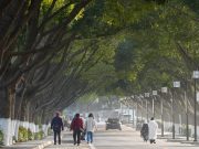 Cina: Jiangsu completerà rimboschimento di 40.000 ettari entro 2025