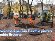 Nuovi alberi per via Turati e piazza Tebaldo Brusato