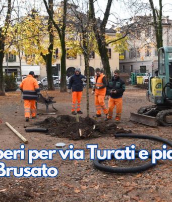 Nuovi alberi per via Turati e piazza Tebaldo Brusato
