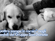 “Quattro zampe in corsia” negli ospedali del Gruppo San Donato