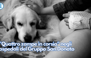 “Quattro zampe in corsia” negli ospedali del Gruppo San Donato