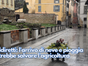 Coldiretti: l’arrivo di neve e pioggia potrebbe salvare l’agricoltura