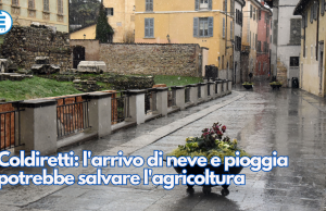 Coldiretti: l’arrivo di neve e pioggia potrebbe salvare l’agricoltura