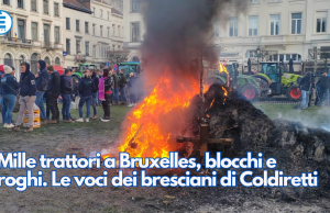Mille trattori a Bruxelles, blocchi e roghi. Le voci dei bresciani di Coldiretti
