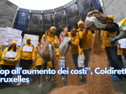 “Stop all’aumento dei costi”, Coldiretti a Bruxelles