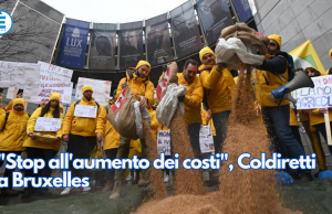 “Stop all’aumento dei costi”, Coldiretti a Bruxelles