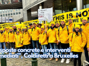 “Risposte concrete e interventi immediati”, Coldiretti a Bruxelles