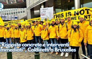 “Risposte concrete e interventi immediati”, Coldiretti a Bruxelles