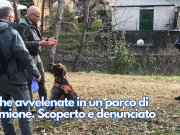 Esche avvelenate in un parco di Sirmione. Scoperto e denunciato