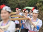 Cina: Guangxi, evento per promuovere cultura del tè a Sanjiang