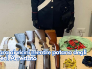 Spara ai vicini mentre potano degli alberi. Arrestato