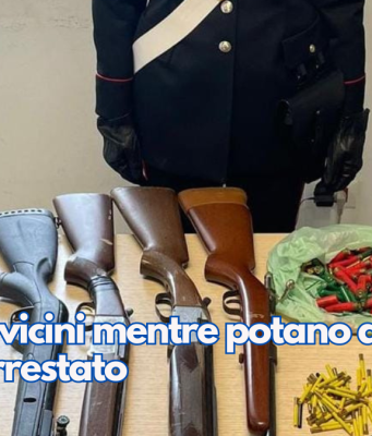 Spara ai vicini mentre potano degli alberi. Arrestato