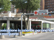 Intossicazione in azienda per una torta alla marijuana