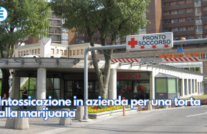 Intossicazione in azienda per una torta alla marijuana