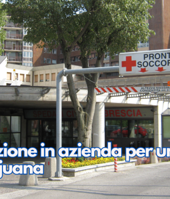 Intossicazione in azienda per una torta alla marijuana