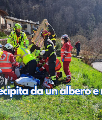 Lozio, precipita da un albero e muore sul colpo