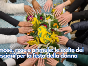 Mimose, rose e primule: le scelte dei bresciani per la festa della donna