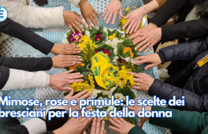 Mimose, rose e primule: le scelte dei bresciani per la festa della donna