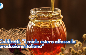 Coldiretti, “il miele estero affossa la produzione italiana”