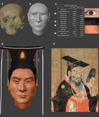 Cina: completato il profilo genetico di un antico imperatore