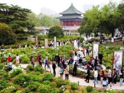 Cina: turismo primaverile a Xi’an
