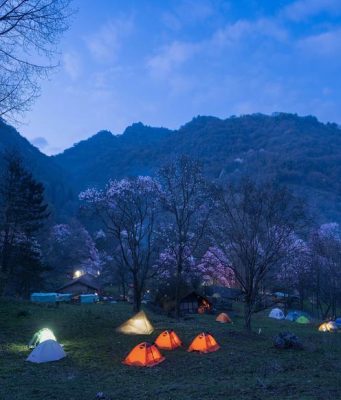 Cina: ammiriamo lo splendore dei fiori di magnolia nel Sichuan