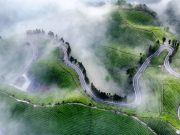 Cina: Hubei, panorama delle piantagioni di tè