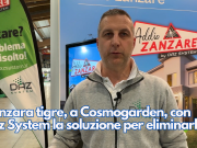 Zanzara tigre, a Cosmogarden, con Daz System la soluzione per eliminarla
