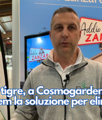 Zanzara tigre, a Cosmogarden, con Daz System la soluzione per eliminarla