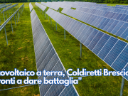 Fotovoltaico a terra, Coldiretti Brescia: “Pronti a dare battaglia”