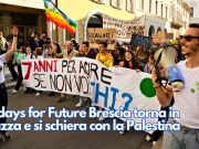 Fridays for Future Brescia torna in piazza e si schiera con la Palestina